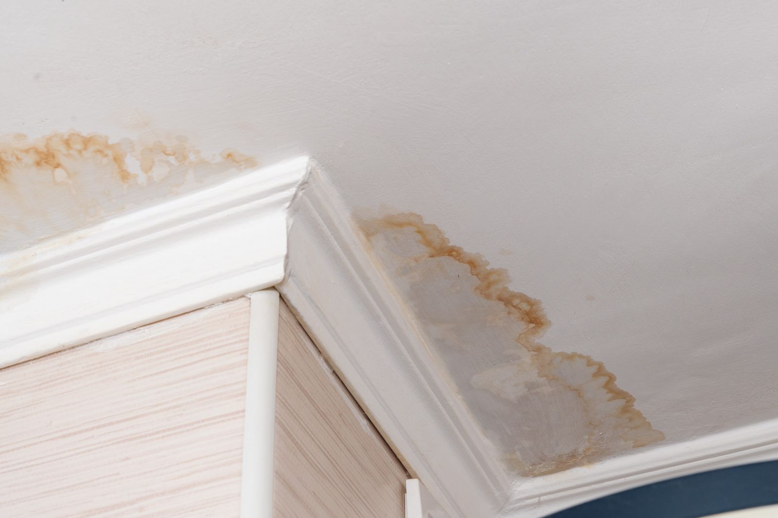 DS Home Improvement Images
